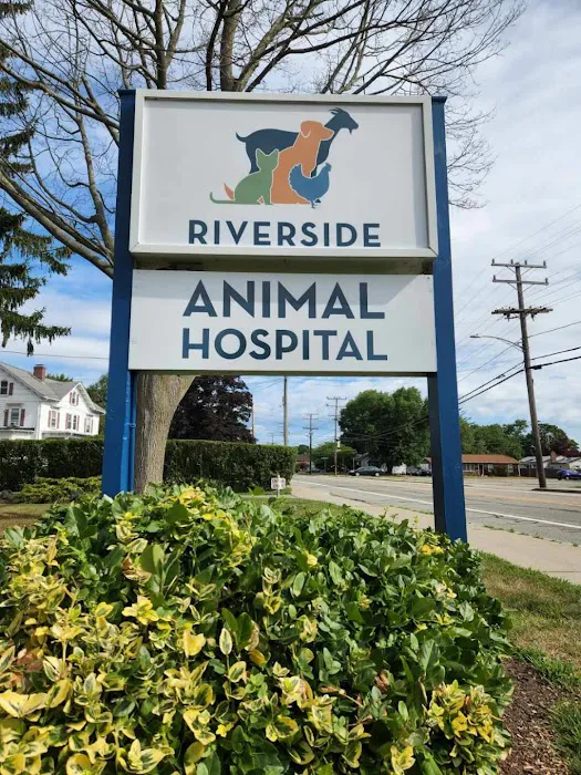Riverside Animal Hospital Picture 1