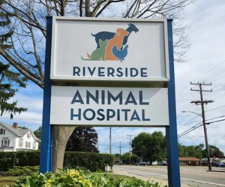 Riverside Animal Hospital