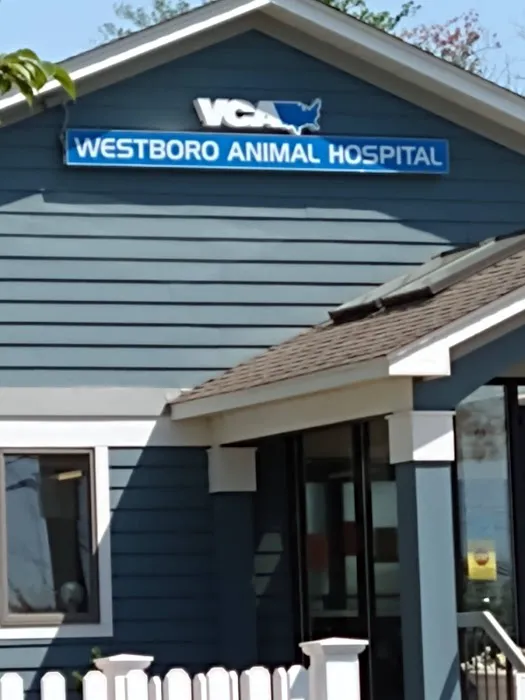 Banfield Pet Hospital Picture 8