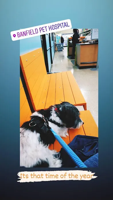 Banfield Pet Hospital Picture 10