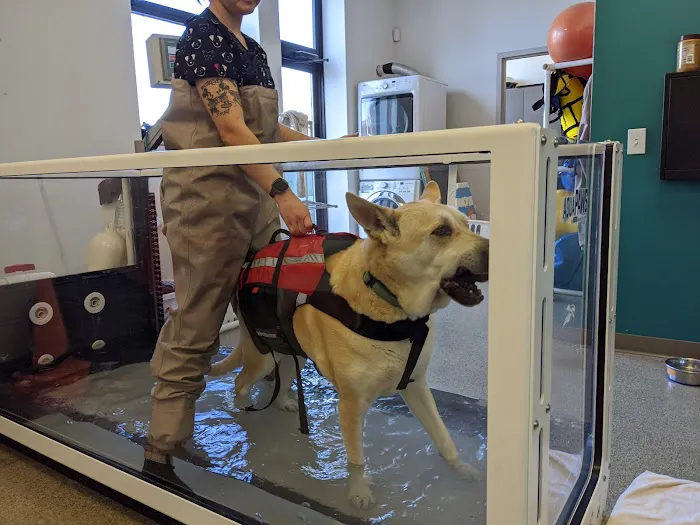 Armory Animal Hospital Picture 10
