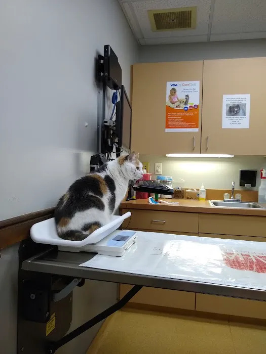 VCA Povar Animal Hospital Picture 3