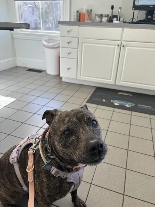Eastside Veterinary Clinic Picture 1