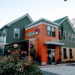 City Kitty Veterinary Care for Cats
