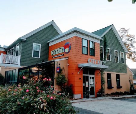 City Kitty Veterinary Care for Cats