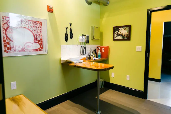 City Kitty Veterinary Care for Cats Picture 2