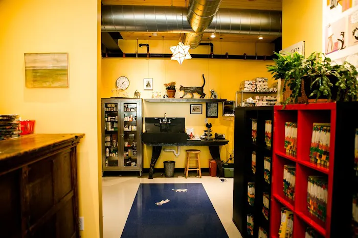 City Kitty Veterinary Care for Cats Picture 7