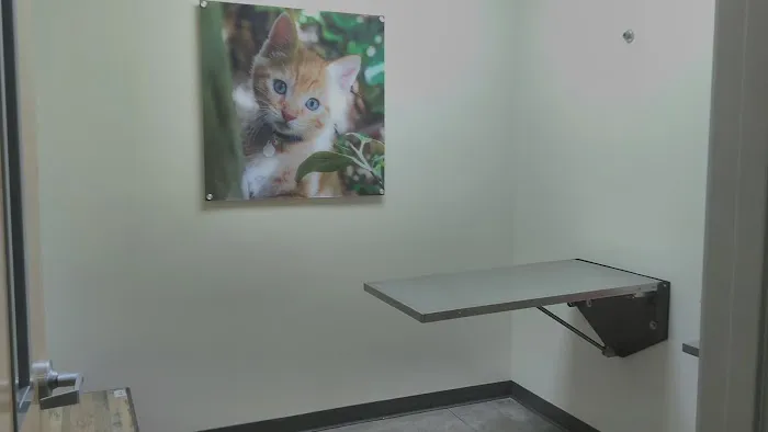 Vetco Total Care Animal Hospital Picture 9