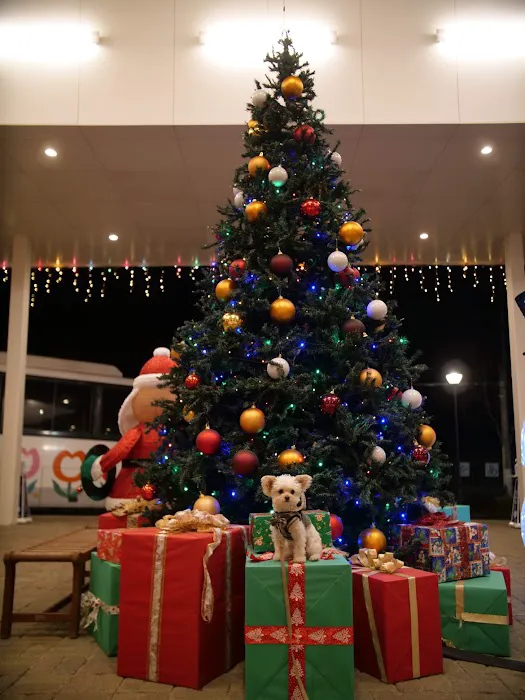 Vetco Total Care Animal Hospital Picture 8