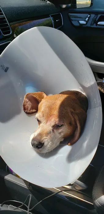 Twin City Animal Hospital Picture 4