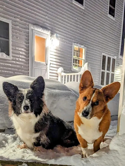 Jaffrey-Rindge Veterinary Hospital Picture 2