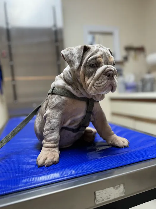 Lunenburg Veterinary Hospital Picture 3