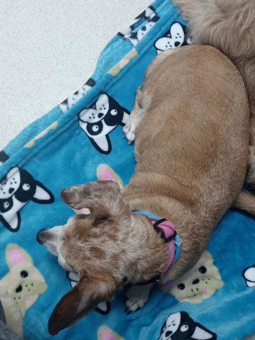 Lunenburg Veterinary Hospital Picture 9