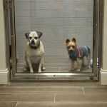 Sulin, Melissa J DVM - First Choice Veterinary Care, Inc.