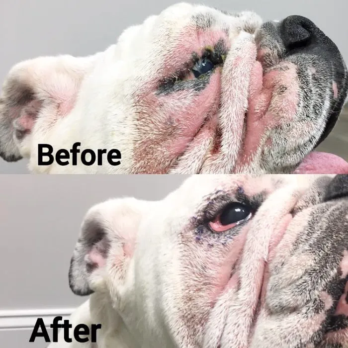 Sulin, Melissa J DVM - First Choice Veterinary Care, Inc. Picture 2