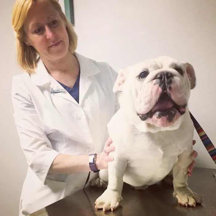 Sulin, Melissa J DVM - First Choice Veterinary Care, Inc. Picture 7