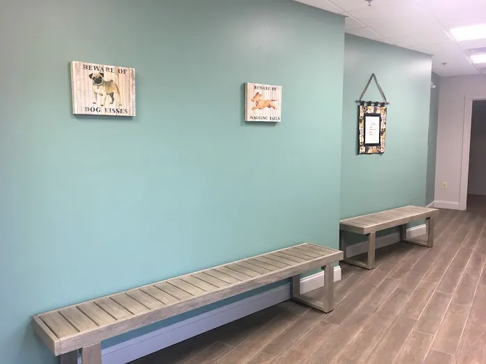 First Choice Veterinary Care, Inc. Picture 10