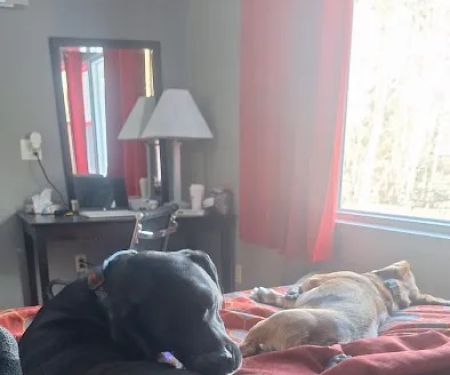 Banfield Pet Hospital