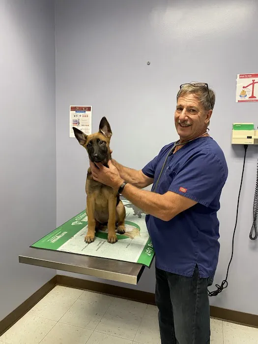 Leominster Animal Hospital Picture 9