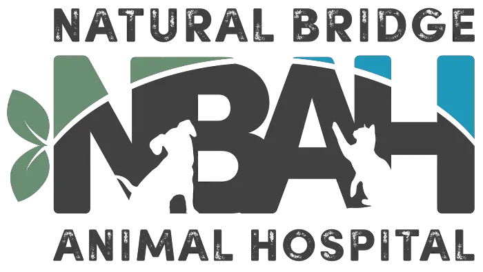 Natural Bridge Hospital For Animals Picture 8