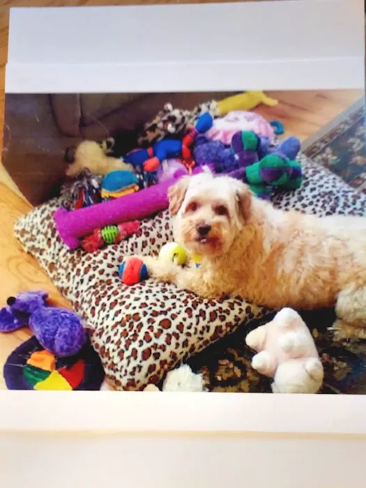 Lovingston Veterinary Hospital Picture 3