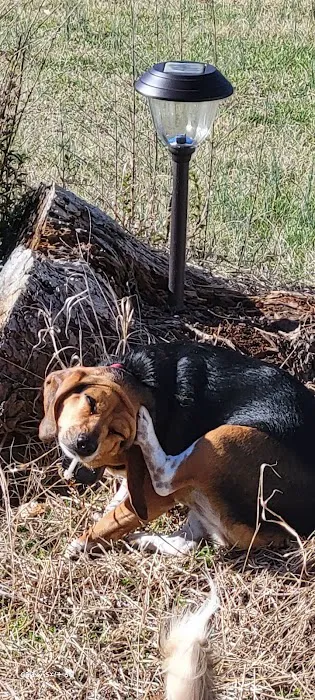 Lovingston Veterinary Hospital Picture 10