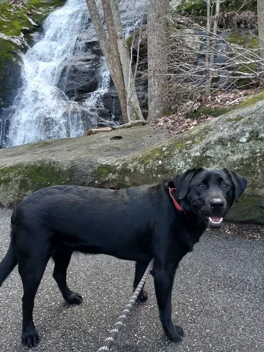 Lovingston Veterinary Hospital Picture 6