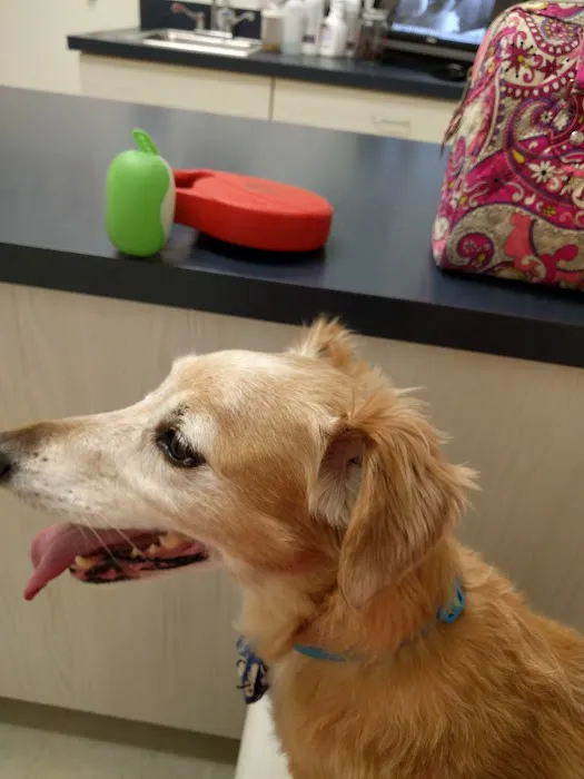 Robinson Animal Hospital Picture 2