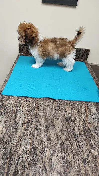 Robinson Animal Hospital Picture 5
