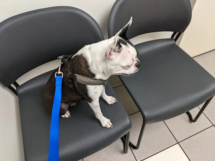 VCA Met Vet West Animal Hospital Picture 3