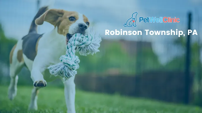 PetWellClinic - Robinson Township Picture 10