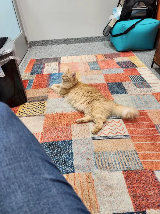 PetVet365 Pet Hospital Pittsburgh/North Fayette Picture 3
