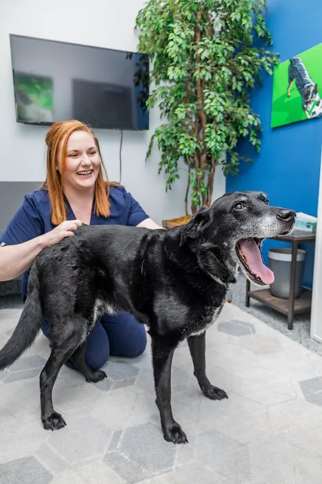 PetVet365 Pet Hospital Pittsburgh/North Fayette Picture 2