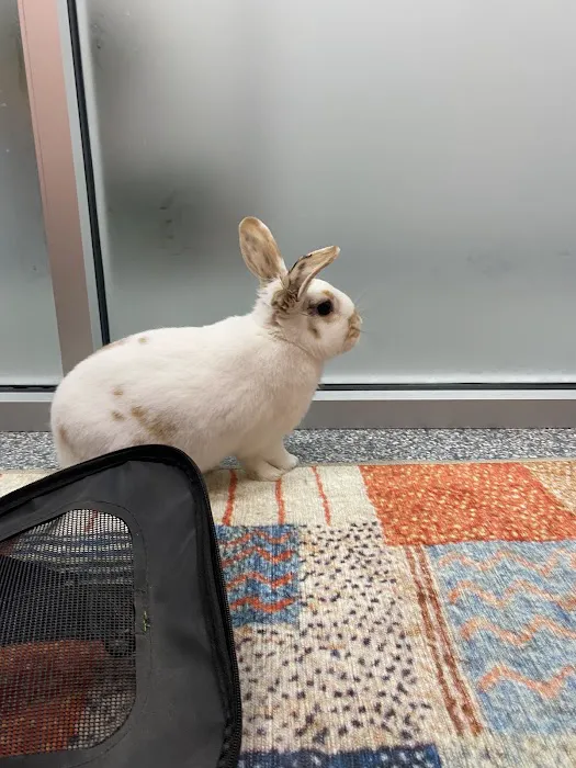 PetVet365 Pet Hospital Pittsburgh/North Fayette Picture 1