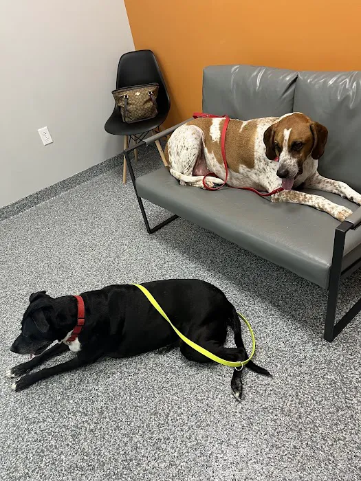 PetVet365 Pet Hospital Pittsburgh/North Fayette Picture 9