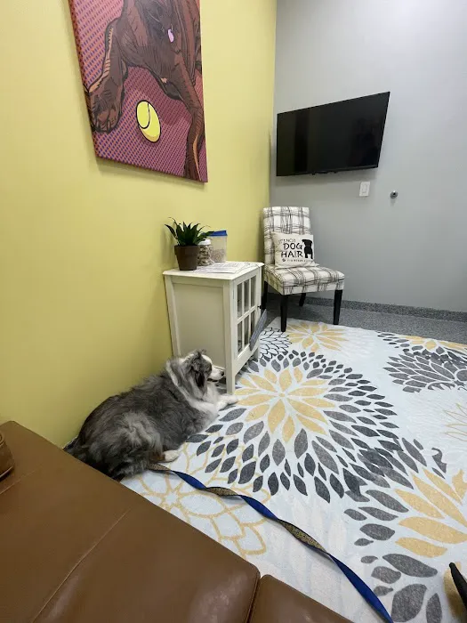 PetVet365 Pet Hospital Pittsburgh/North Fayette Picture 10