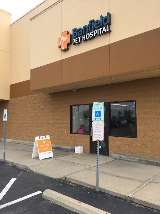 Banfield Pet Hospital Picture 8