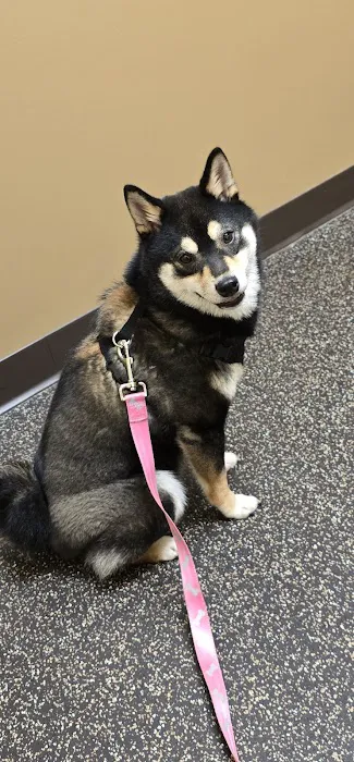 Animal Medical and Surgical Center Picture 10