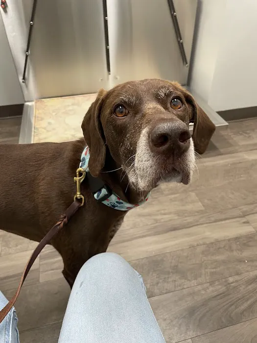 North Memorial Animal Hospital and Paw Spaw Picture 1