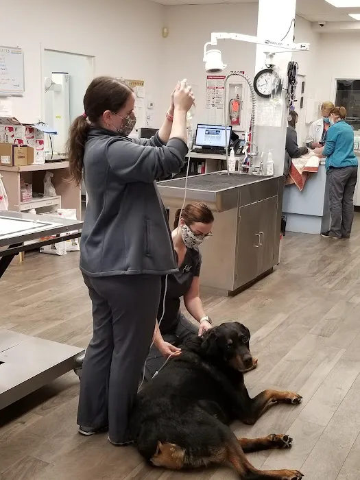 North Memorial Animal Hospital and Paw Spaw Picture 4