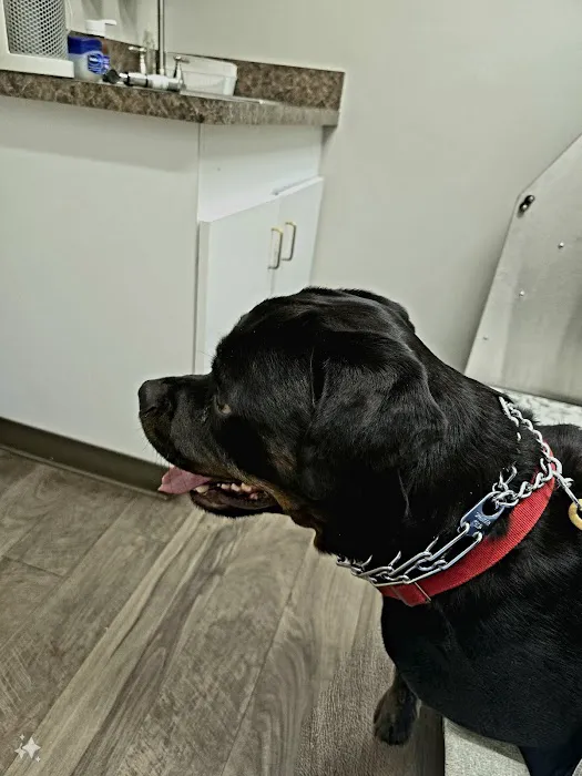 North Memorial Animal Hospital and Paw Spaw Picture 7