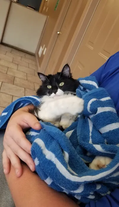 Ellwood Animal Hospital: Cindy Maro DVM CVA CAC VMRT Picture 1