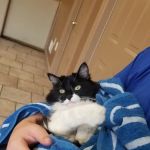 Ellwood Animal Hospital: Cindy Maro DVM CVA CAC VMRT