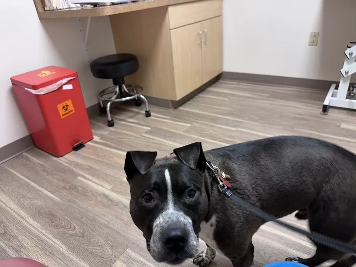 Creekside Veterinary Care Picture 1