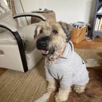 Hufnagel Veterinary Clinic ico