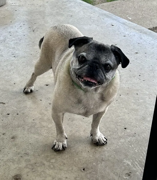 Hufnagel Veterinary Clinic Picture 4