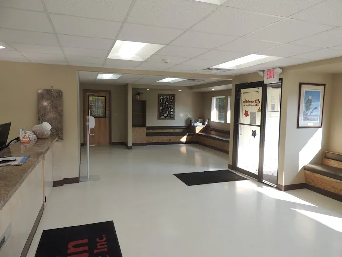 Franklin Animal Clinic Inc Picture 2