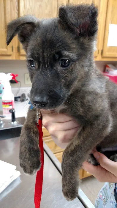 Franklin Animal Clinic Inc Picture 10