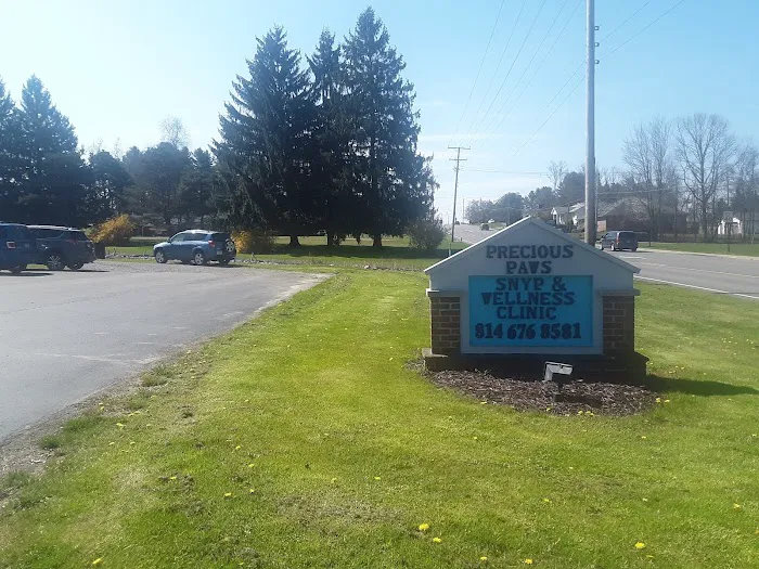 Nelson's Animal Clinic Picture 3