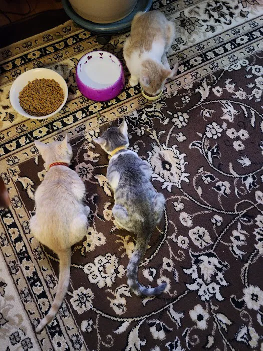 Animal Friends Howard Ash Animal Wellness Center Picture 4